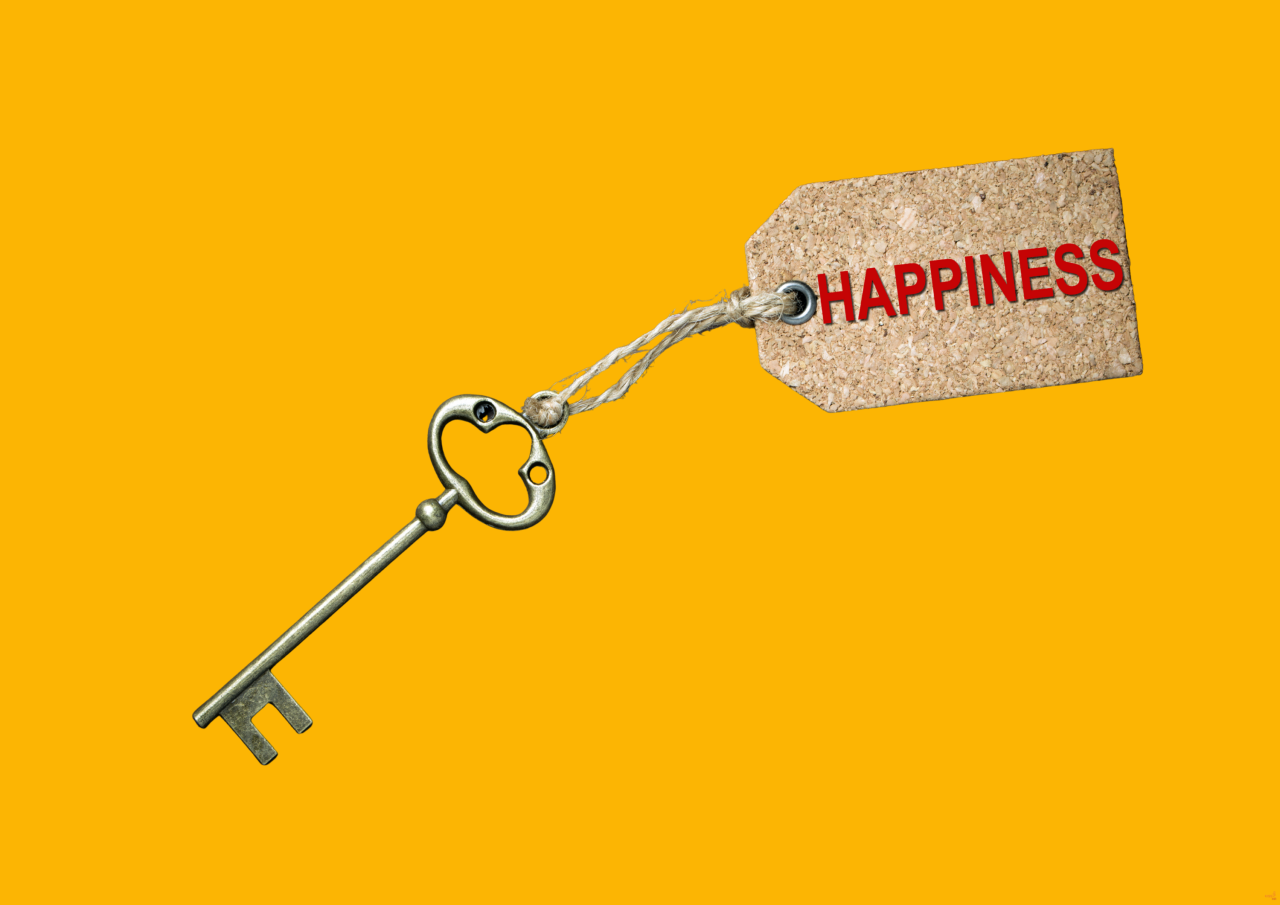 Werkgeluk volgens KISS HR