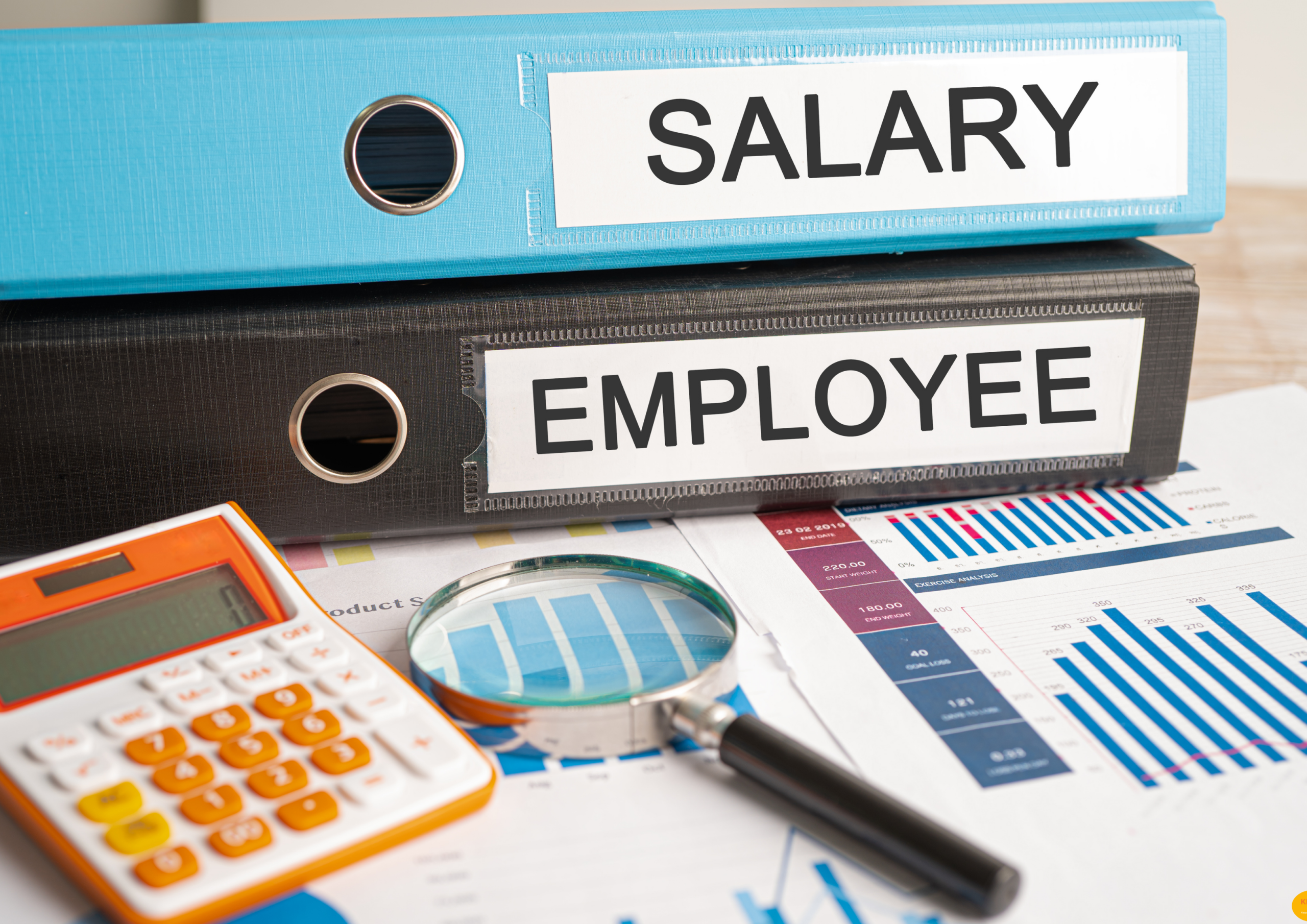 redenen voor een functie- en loongebouw - KISS HR